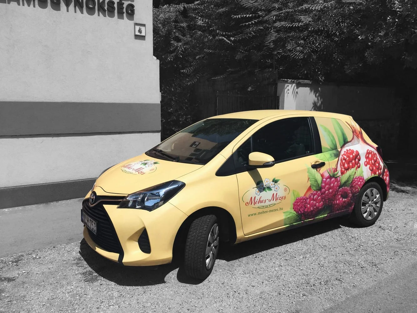 marketing kommunikáció