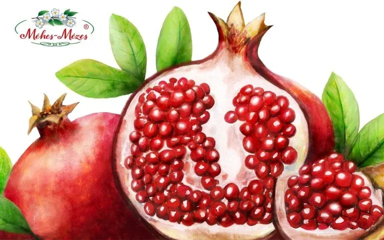 Portfolio 8 kommunikáció tervezés grafika
