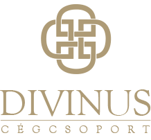logo divinus cegcsoport1